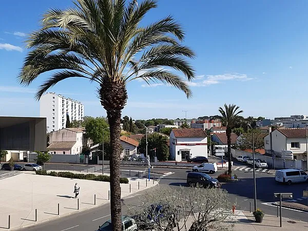 Avenue du Jeu de Mail à Castelnau-le-Lez