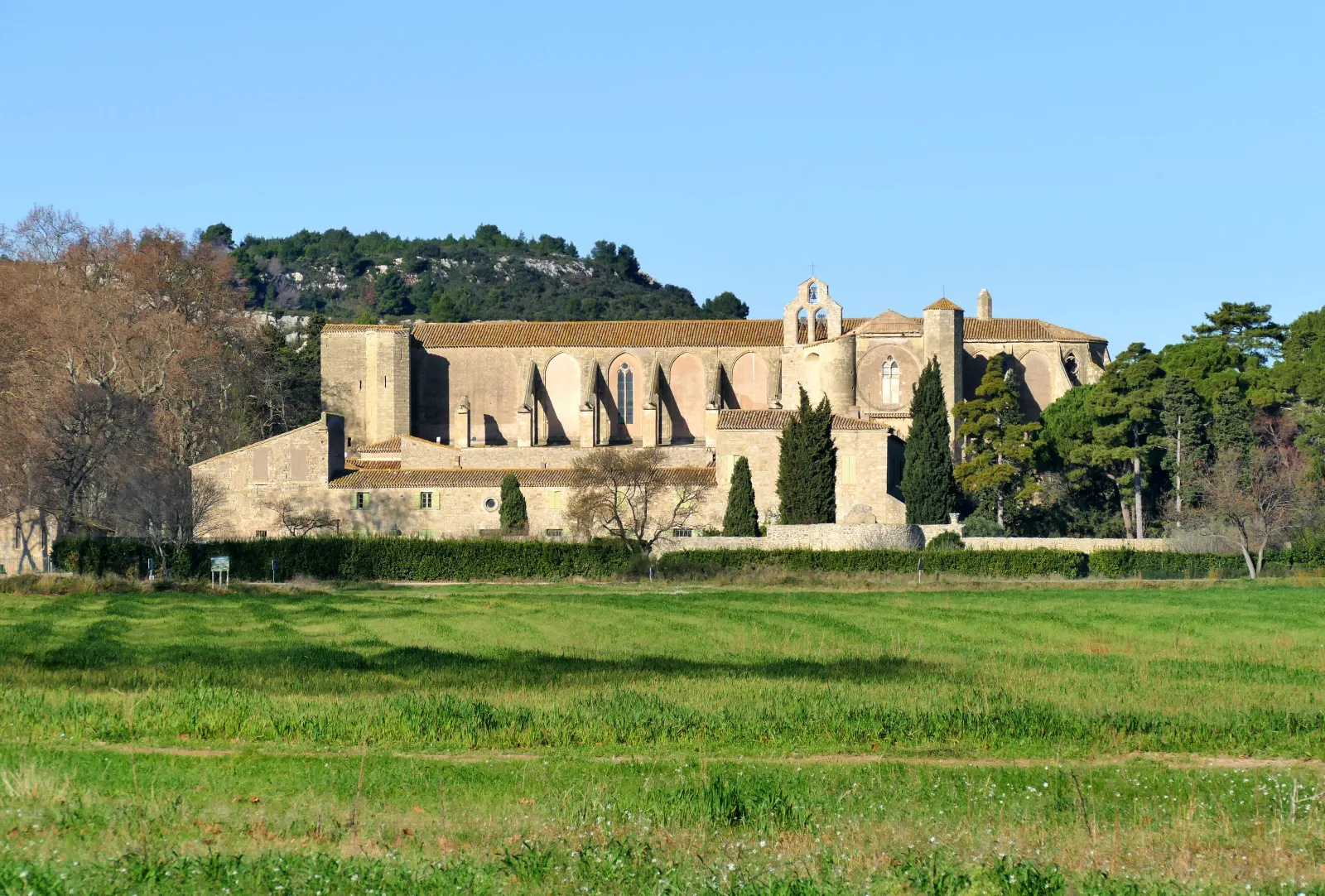 Vue de Villeveyrac, Hérault